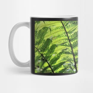 Sunlight weaving through fern fronds Mug